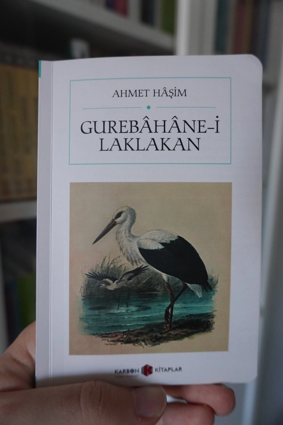 Gurebâhâne-i Laklakan Leylekler Evi Ahmet Haşim
